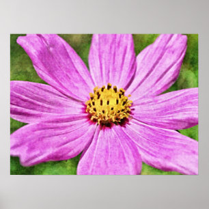Impresión de arte fotográfico de flores moradas ro