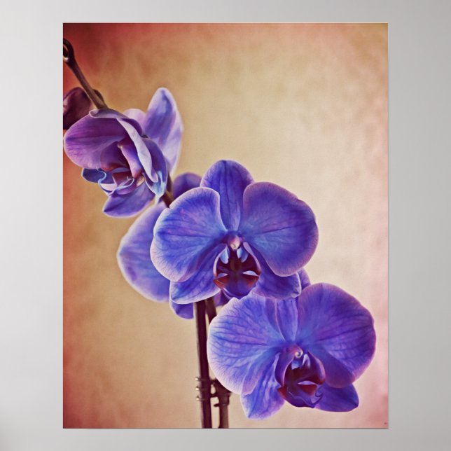 Impresión de arte fotográfico de orquídeas azules (Frente)