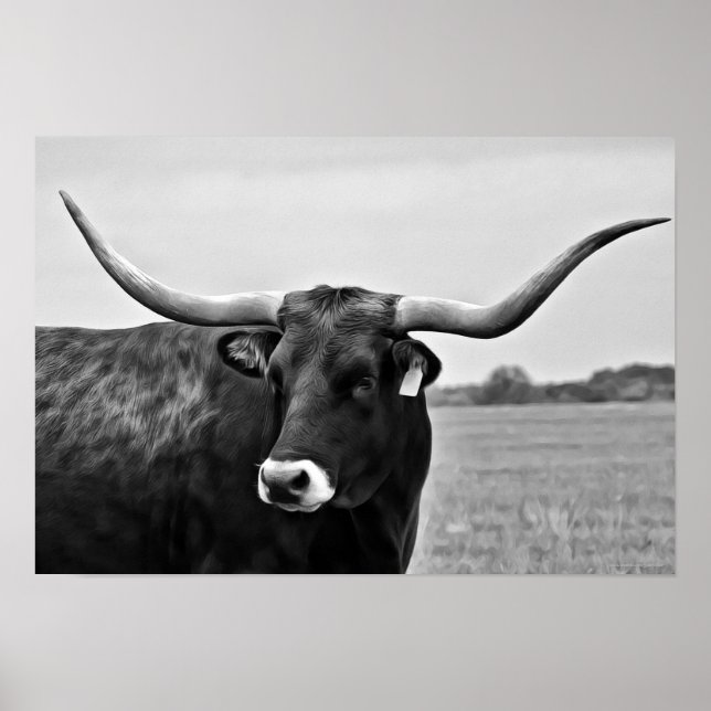 Impresión de arte fotográfico de vaca de Longhorn (Frente)