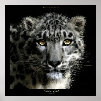 Impresión de arte LEOPARD por NIEVE WILD
