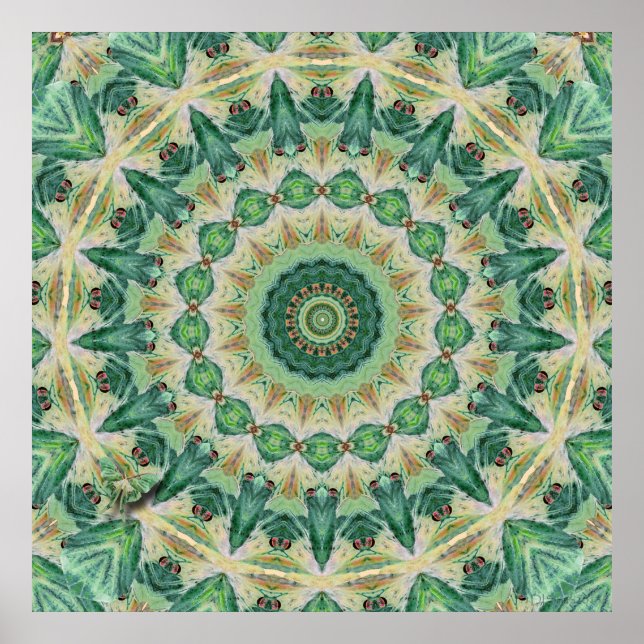 Impresión de arte Luna Moth Kaleidoscope (Frente)
