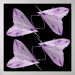 Impresión de arte morado