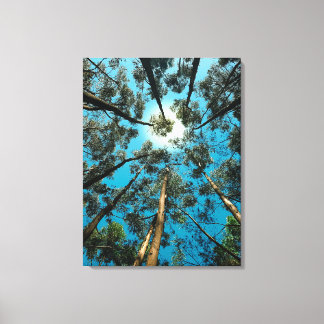 impresión de arte natural en canava