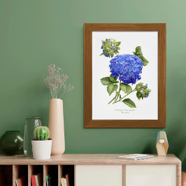 Impresión de arte original de Blue Hydrangea