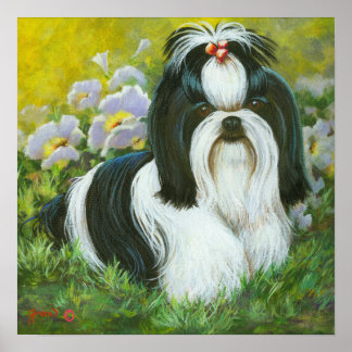 Impresión de arte shih zu sobre lienzo