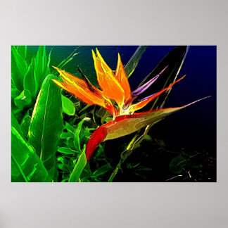 Impresión de aves acuáticas