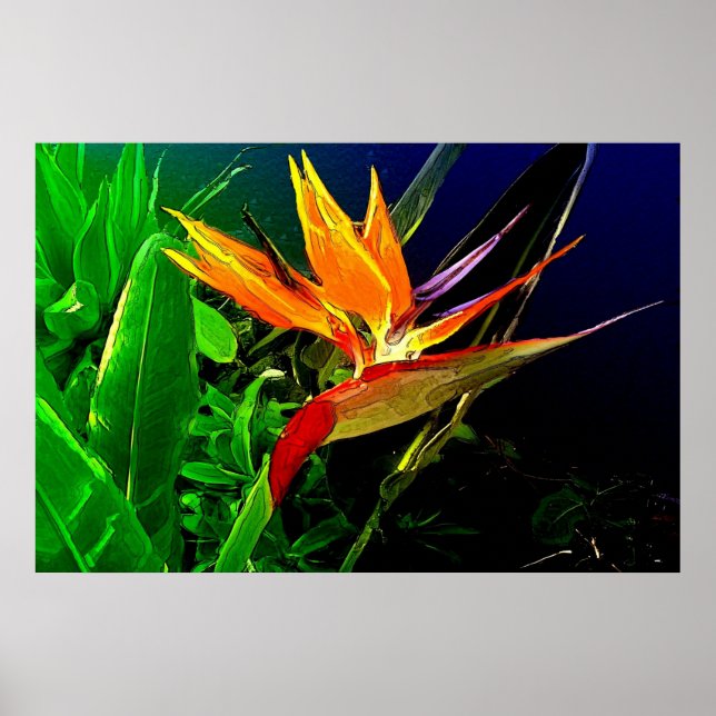 Impresión de aves acuáticas (Frente)