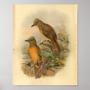 Impresión de Aves Amarillas de Madera Rompeda