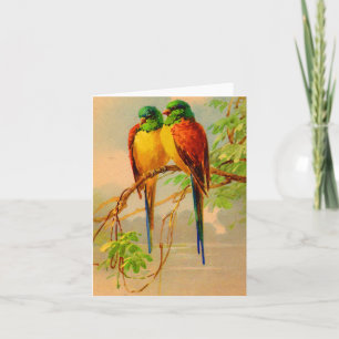 impresión de aves hermosas