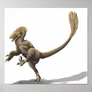 Impresión de Balaur Bondoc