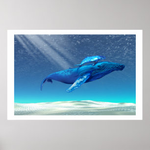 IMPRESIÓN DE BALLENAS