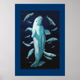 Impresión de ballenas de Beluga Poster de vida mar