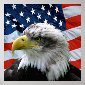 Impresión de bandera norteamericana de águila calv