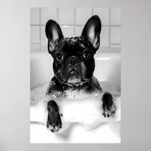 Impresión de baño de burbujas de Bulldog Francés,  (Frente)