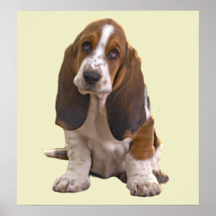Impresión de Basset Hound