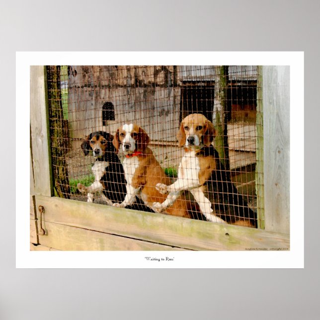 Impresión de Beagle 'Esperando a correr' (Frente)
