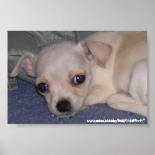 Impresión de bebé.