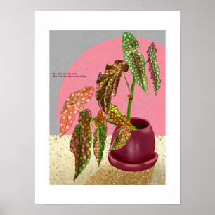 Impresión de Begonia, Poster (mate)