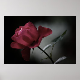 Impresión de belleza de amor