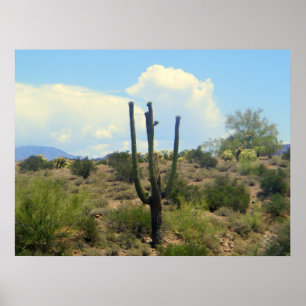 Impresión de belleza de supersación