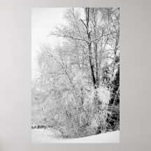 Impresión de blancos de invierno