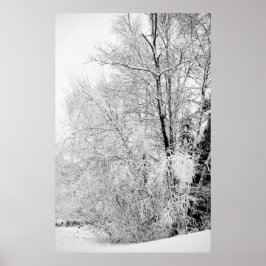 Impresión de blancos de invierno