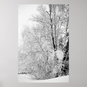 Impresión de blancos de invierno