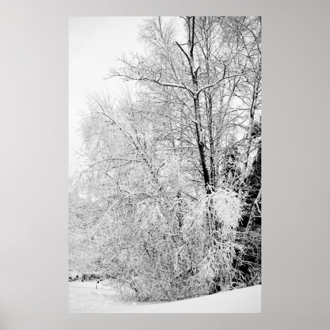 Impresión de blancos de invierno (Frente)