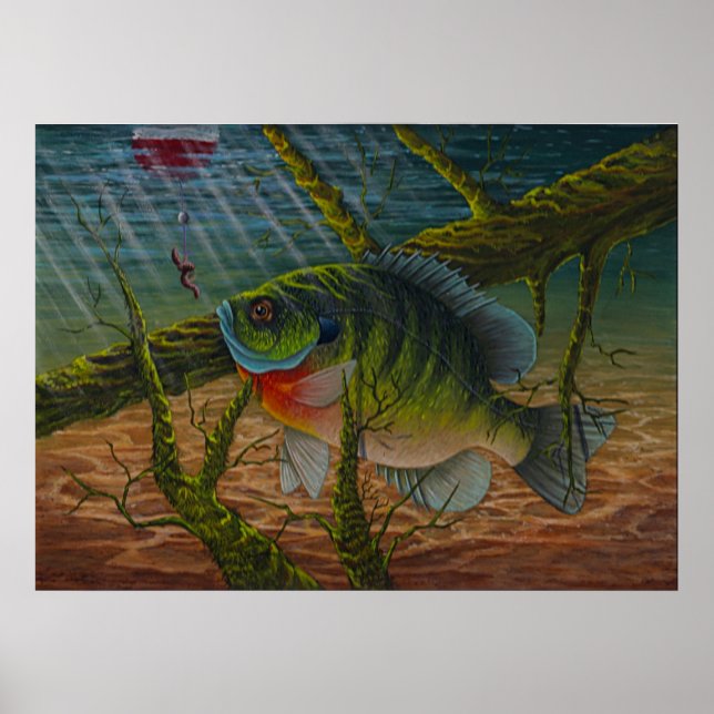 Impresión de Bluegill (Frente)