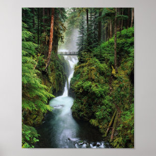 Impresión de bosque