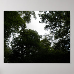 Impresión de bosque espeluznante