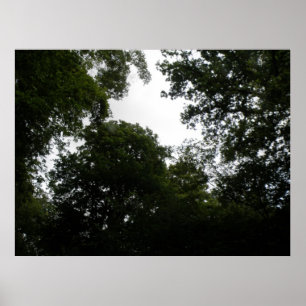 Impresión de bosque espeluznante