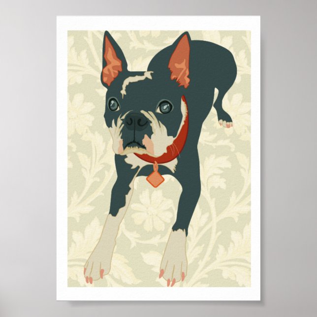 Impresión de Boston Terrier (Frente)