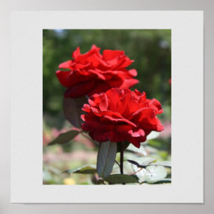 Impresión de Bouquet rojo