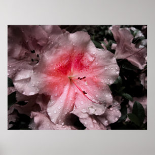 Impresión de brillo interior