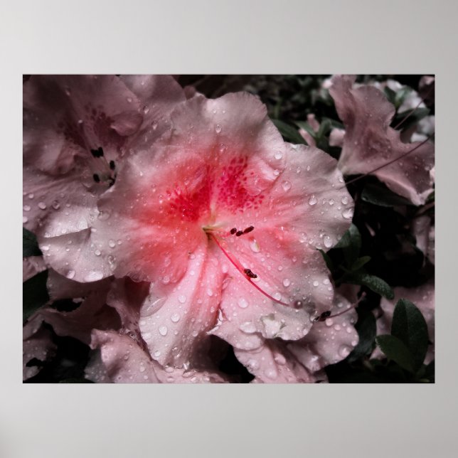 Impresión de brillo interior (Frente)