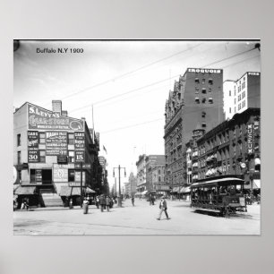 Impresión de búfalo N.Y