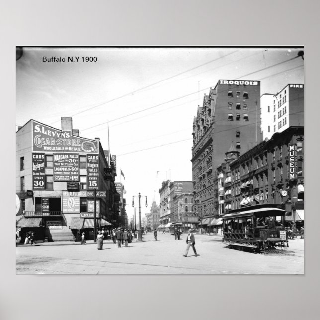 Impresión de búfalo N.Y (Frente)