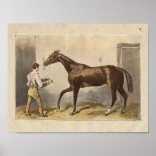 Impresión de caballo vintage 1873 Thormanby