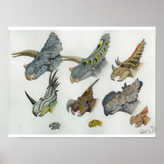 Impresión de cabezales de Ceratopsia