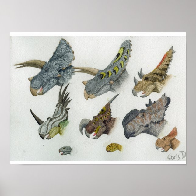 Impresión de cabezales de Ceratopsia (Frente)