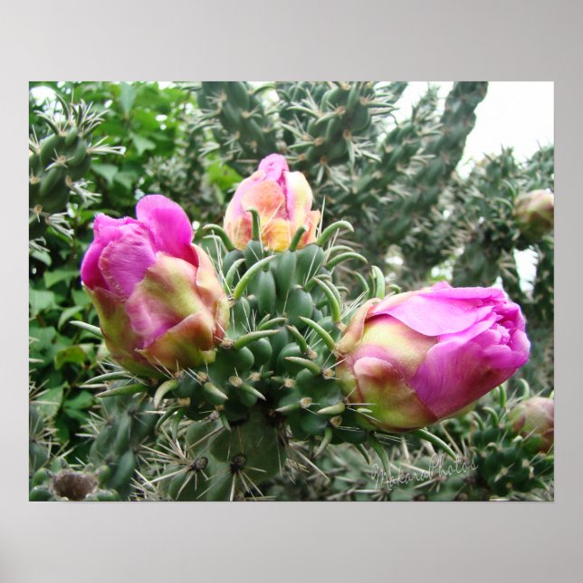 Impresión de cactus rosados (Frente)