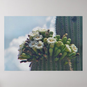 Impresión de cactus saguaro en flor