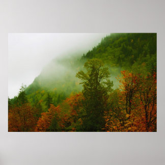Impresión de caída y niebla