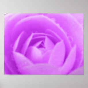 Impresión de camellia púrpura