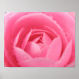 Impresión de camellia rosa