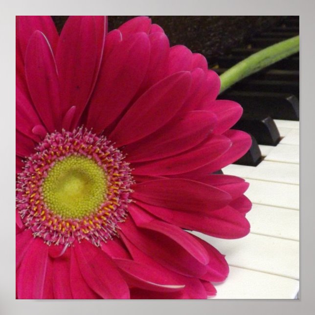 Impresión de canción alegre (Frente)