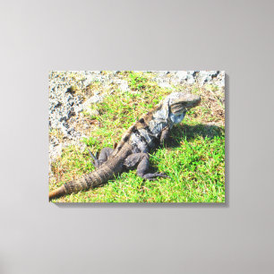 IMPRESIÓN DE CANCÚN, MÉXICO #16 CANVAS