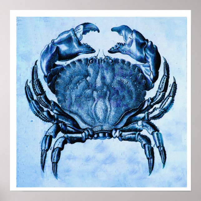 Impresión de cangrejo azul vintage (Frente)