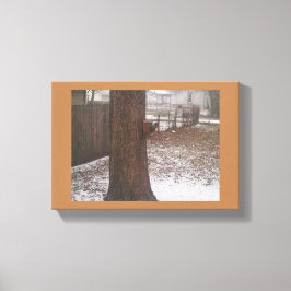 Impresión de canvas de ardillas